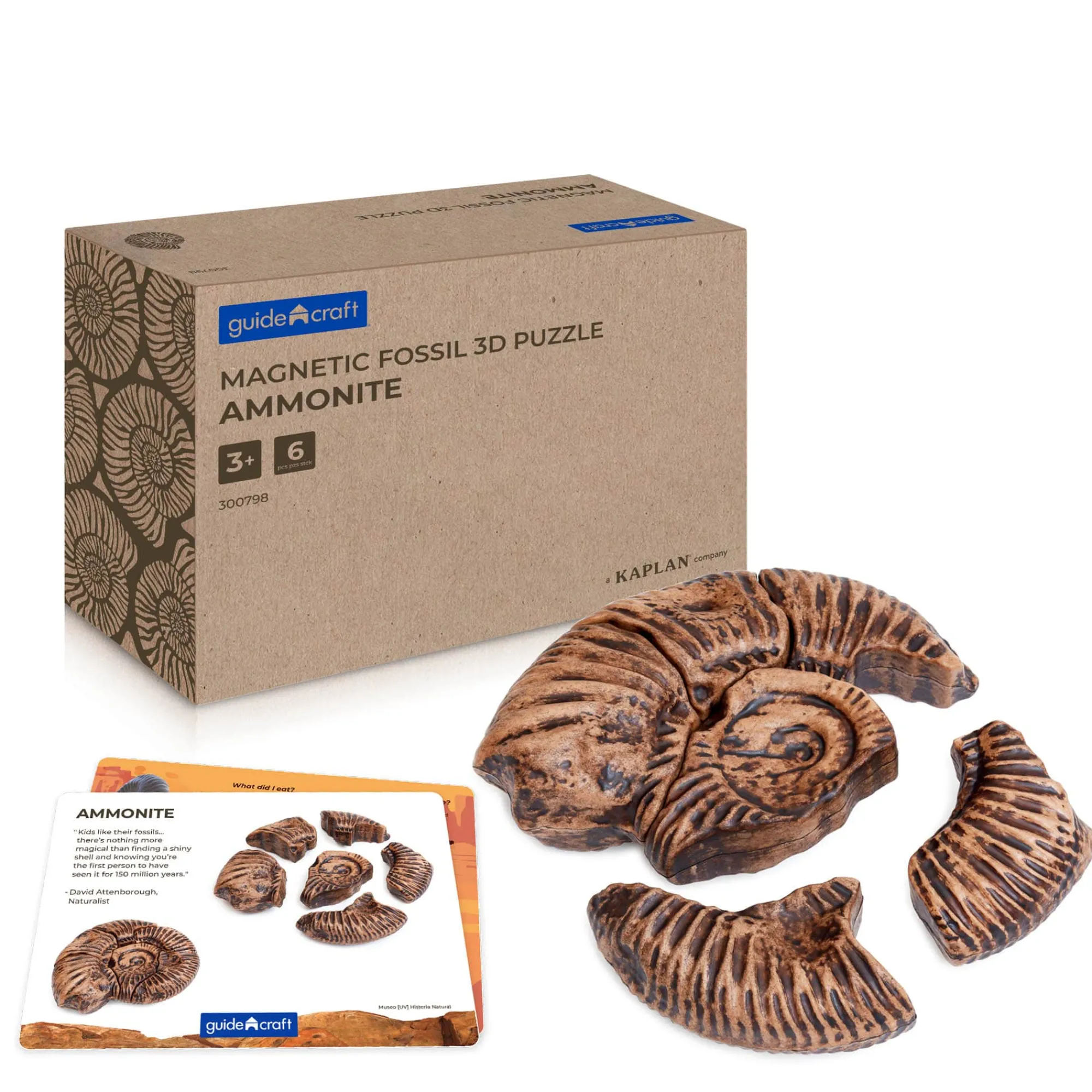 Guidecraft Magnetic Fossil 3D Puzzle* Science Toys|Magnetic Toys