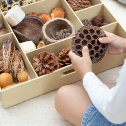 Guidecraft Nature's Geometry Loose Parts STEM Kit*Kids Kids' Outdoor Toys|Loose Parts Kits And Equipment